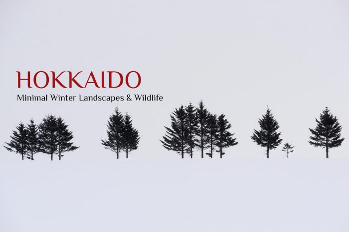 Photo Tour Japan Winter 2022: HOKKAIDO “Minimal Winter Landscapes & Wildlife”