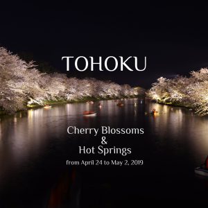 Cherry blossom photo tour