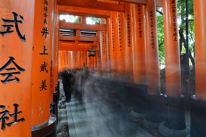 Viaje fotográfico privado: Japón, la ruta clásica