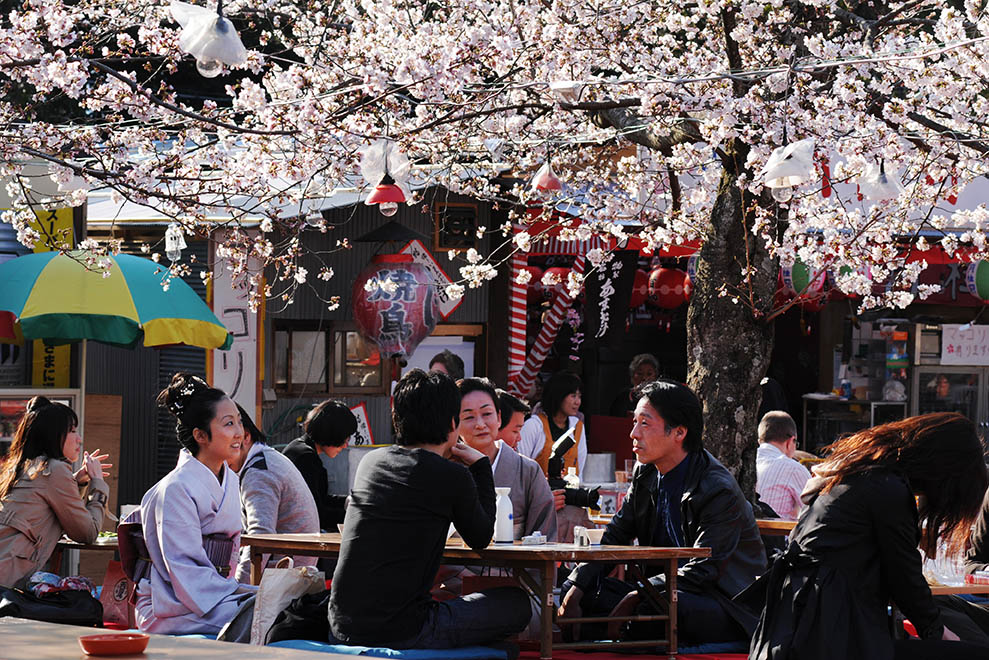 Viaje Fotografico A Japon Cerezos En Flor Kioto Setouchi Akashi Travel